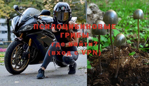 герыч Куйбышев