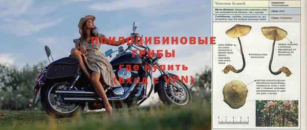 герыч Куйбышев